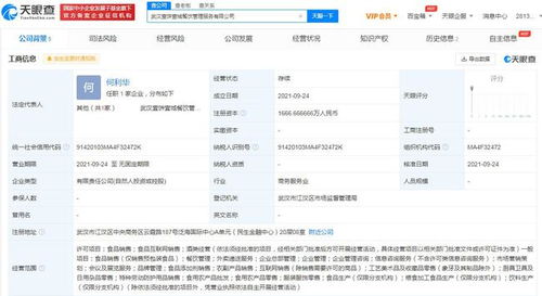 墨茉点心局武汉新动作 成立子公司加码外卖递送服务，折射新消费品牌的数智化转型路径